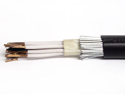 Booklet Armoured XLPE Power Cable (12 Core)