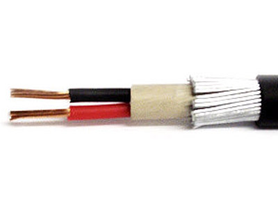 XLPE Power Cable (2 Core)